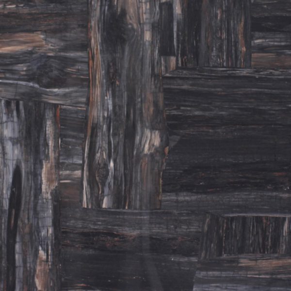 Black Petrified Wood Retro