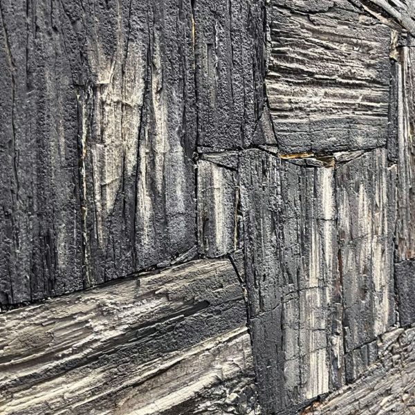 Black Petrified Wood Retro